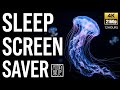 Beautiful Jellyfish Aquarium 4K ~ Relaxing Underwater World for Sleep & Screensaver