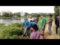 Akshayanagara lake  alligator weed removal from the lake water 7