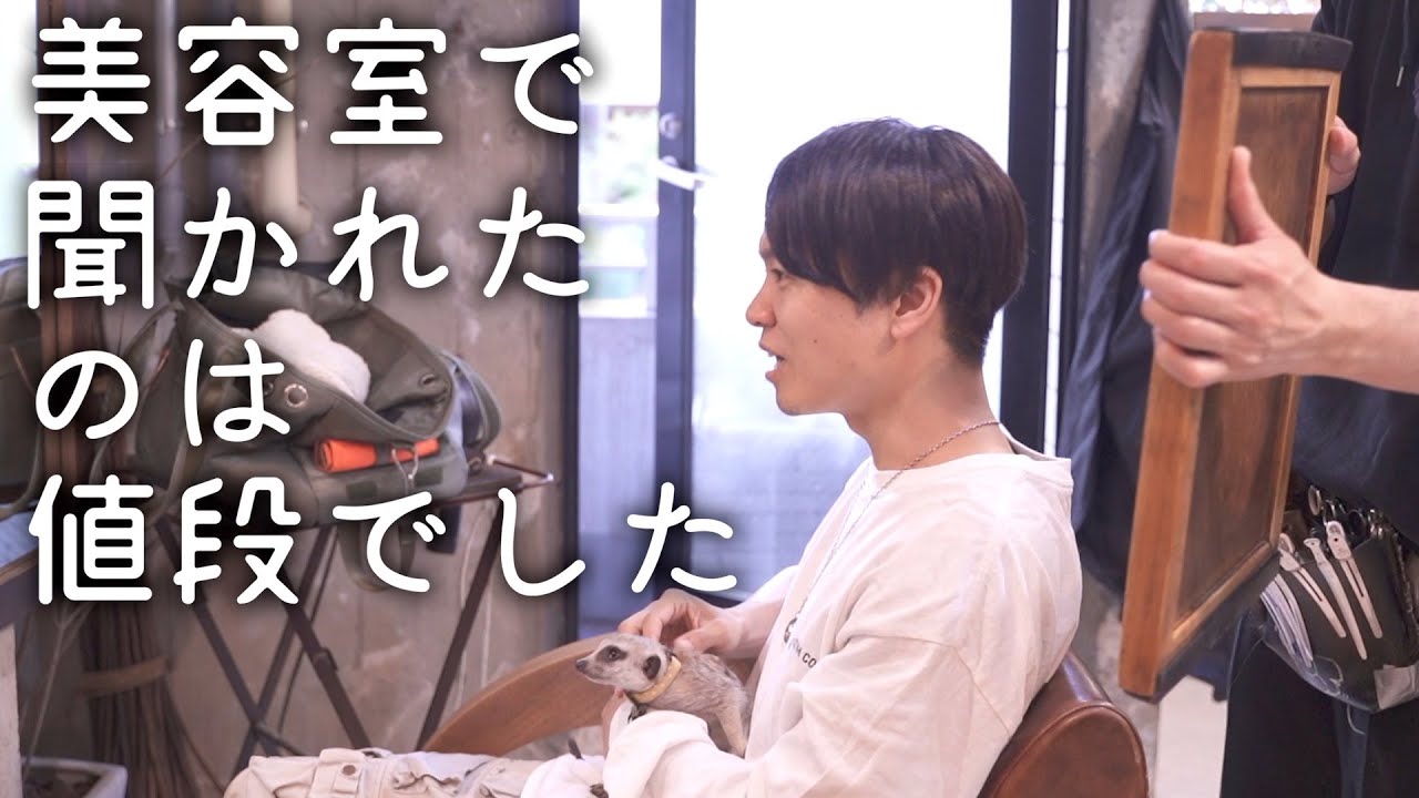 ミーアキャットの値段