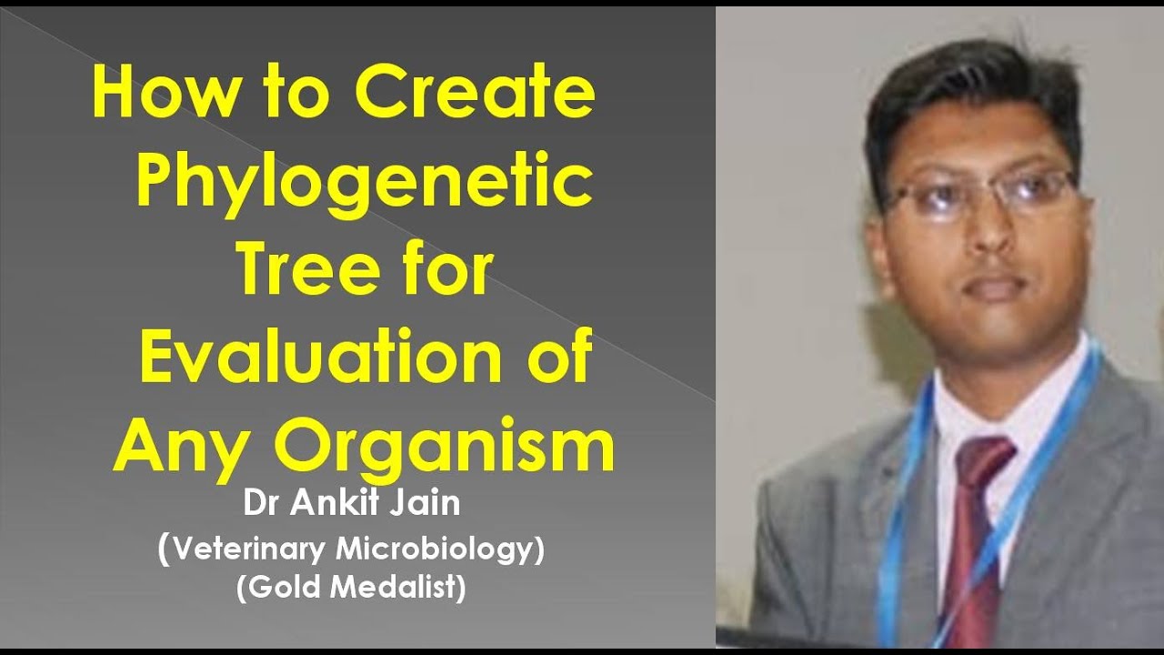 biopython tutorial: making phylogenetic trees in... How to Create Phylogenetic Tree for Evaluation of Any Organism - YouTube