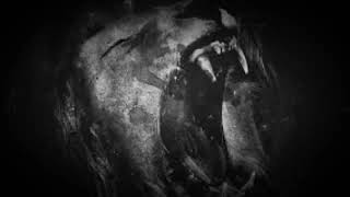 WTY- ☆Freestyle☆ Reggae Rap Style 🗣✌P.A.Z✌ ₩¥ #WTY #freestyle