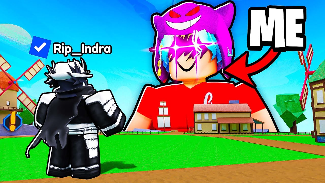 Blox Fruits OWNER Gave Me ADMIN POWERS..