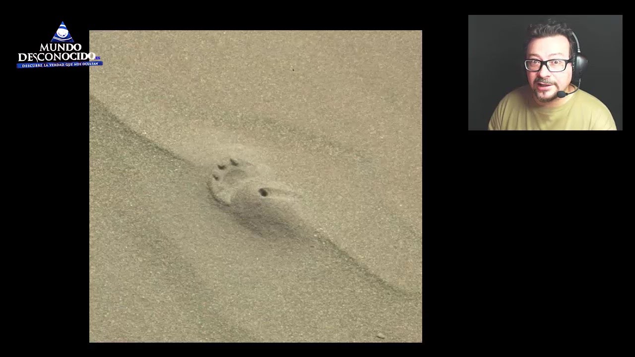 summon ¿Ha encontrado NASA pruebas de vida en Marte?