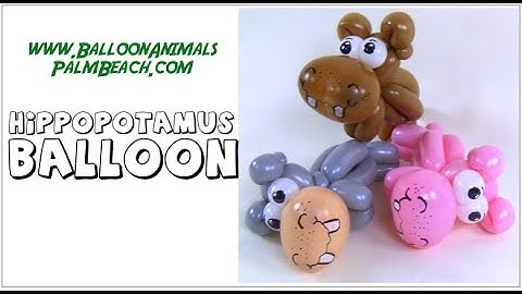 How To Make A Hippo Balloon - Balloon Animals Palm Beach