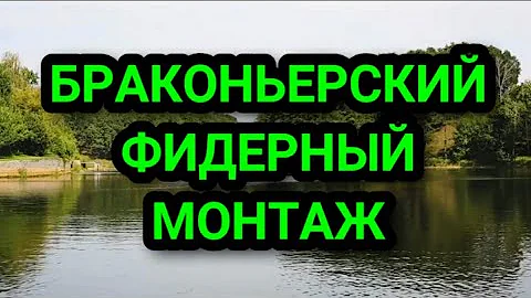 Браконьерский фидер. Как привязать три крючка на фидерную оснастку, чтобы они не путались.