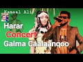 Kamalo Ali Konserti Harar Galma Calaanqoo New Ethiopian Oromo Music рџЋ 2023 Official Video Kamalo Ali Konserti Harar Galma Calaanqoo New Ethiopian Oromo Music рџЋ 2023 Official Video