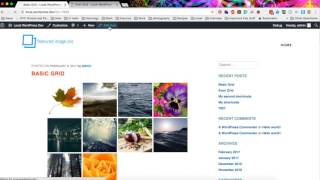 Featured Image Pro Basic Shortcode