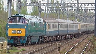 D1015 'Western Champion' Returns To Working Mainline Charters. Hauling The 'One Way Wizzo' 14/04/24