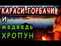 Душевная ночная рыбалка I Караси горбачи и медведь Хропун