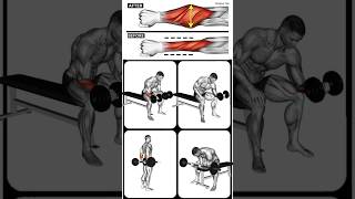 Big Forearm exercise | Forearms Workout Gym | #forearm_workout #forearmsexercises #forearms