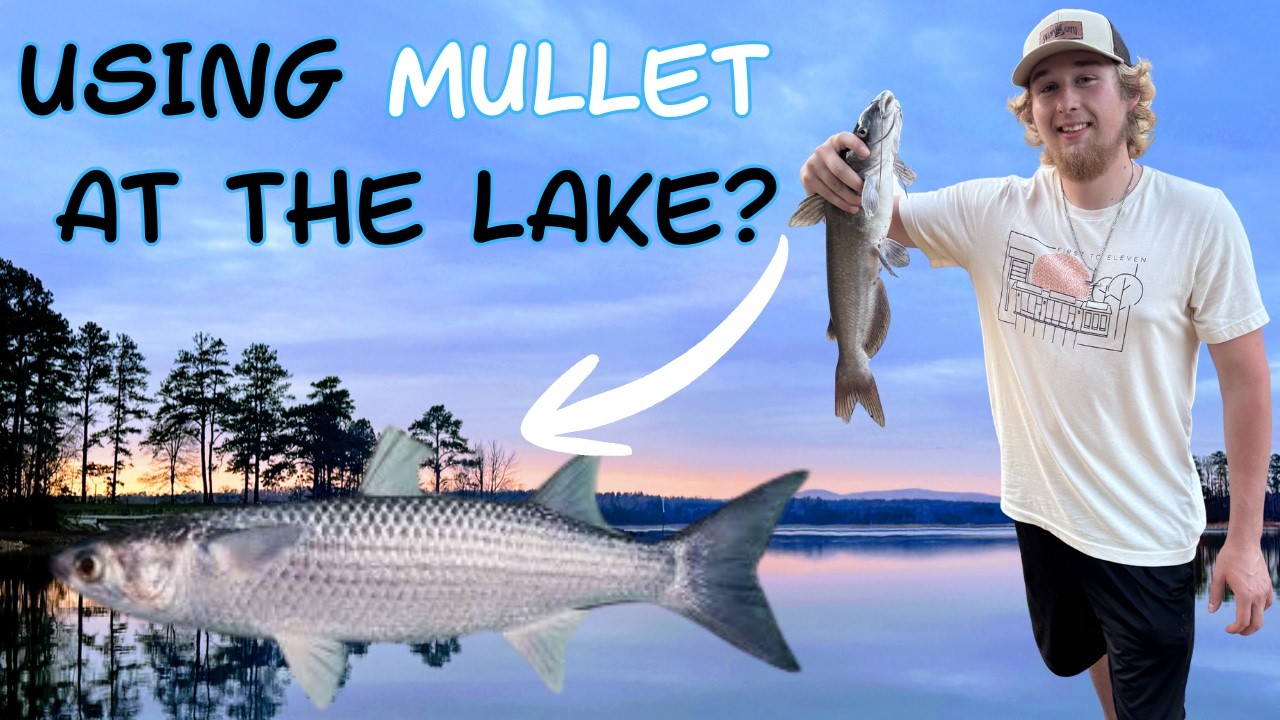 Will Mullet Catch Lake Fish?