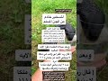 تسخير خادم من الجن المسلم 