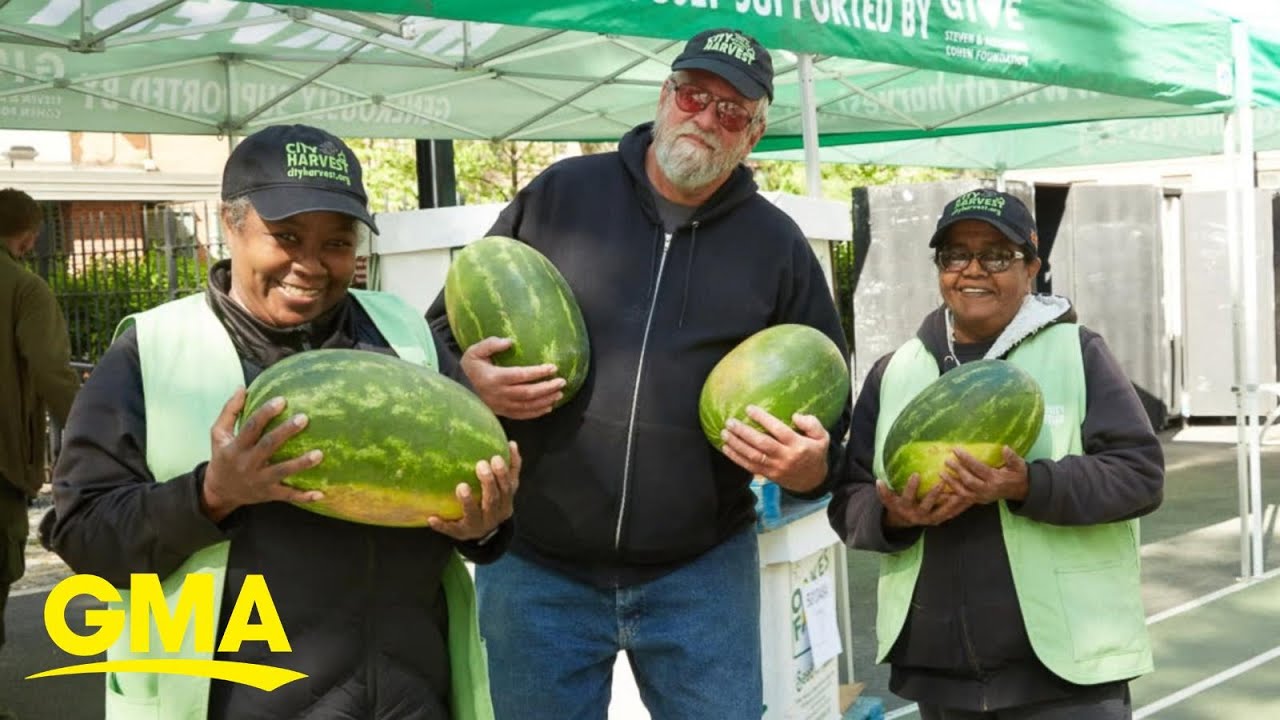 Nonprofit works to ensure no food goes to waste