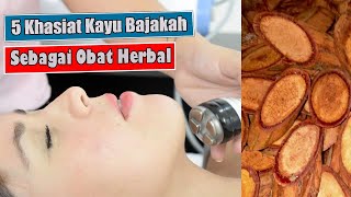 YUK KETAHUI!!! INILAH 5 KHASIAT KAYU BAJAKAH SEBAGAI OBAT HERBAL