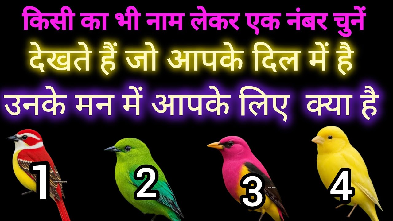 Tarot card reading देखते हैं जो आपके दिल में है उनके मन में आपके लिए क्या है 🥰🌱 choose one number