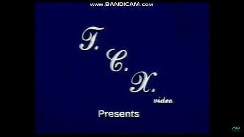 TCX Video Has Fallen Into Something