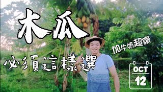 別再買爛木瓜 | 快速挑選木瓜 | 放太久差點變高蛋白木瓜牛奶 | 紅龍兄有賣酪梨