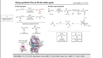 Synthesis Workshop: Synthetic Phosphonic Acids with Dr. Katharina Pallitsch (Episode 91)