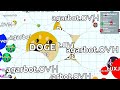 Agar.io Solo Doge 143,000+ Score Epic Gameplay