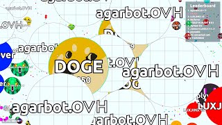 Agar.io Solo Doge 143,000+ Score Epic Gameplay