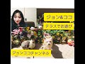 ＃Vlog #春爛漫　＃テラスで　＃日向ぼっこ　＃花　が綺麗　＃晴天　　＃ジョンココ　＃愛犬ジョン　＃ウサギのココ　＃楽しむ