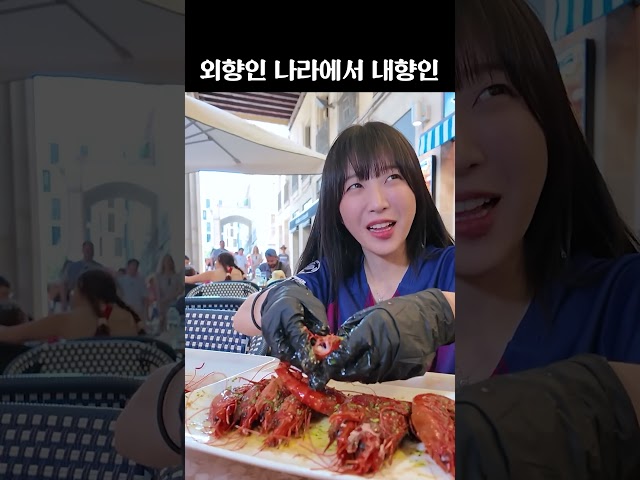 외향인 나라에서 내향인