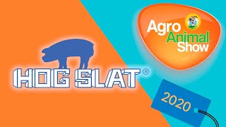 Hog Slat Україна на Agro Animal Show 2020