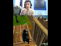 ايه رايك انت؟! #محتوي #fortnite #ترند_مصر #gaming #اكسبلور #فورتنايت #فورت_نايت #ترند_جديد