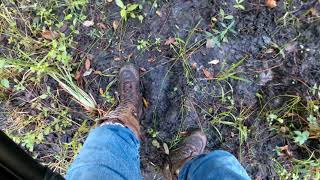Finding Food Sources and More Multiple Foot Prints In The Swamp