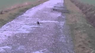 MOV 0024