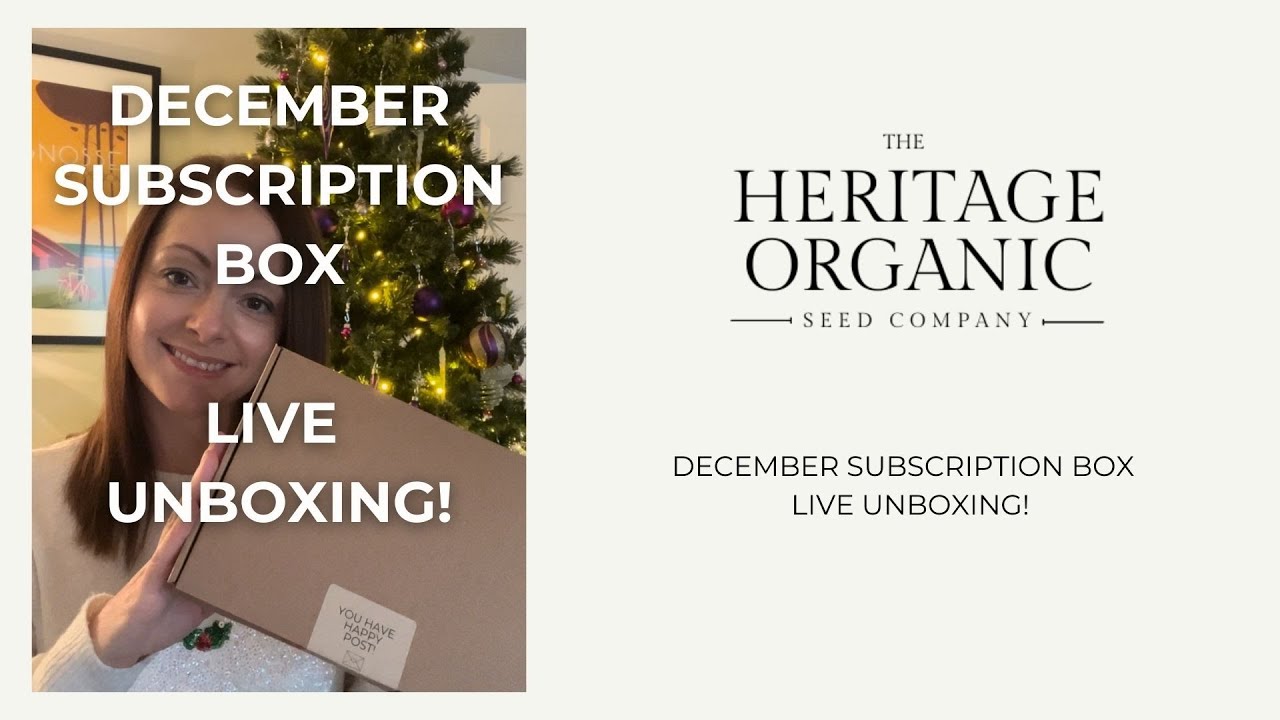 DECEMBER Subscription Box   Live Unboxing!
