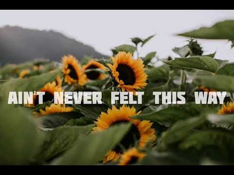 Lany - ilysb(STRIPPED) //LYRICS