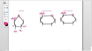 S. Drawing molecular diagrams of glucose and ribose.