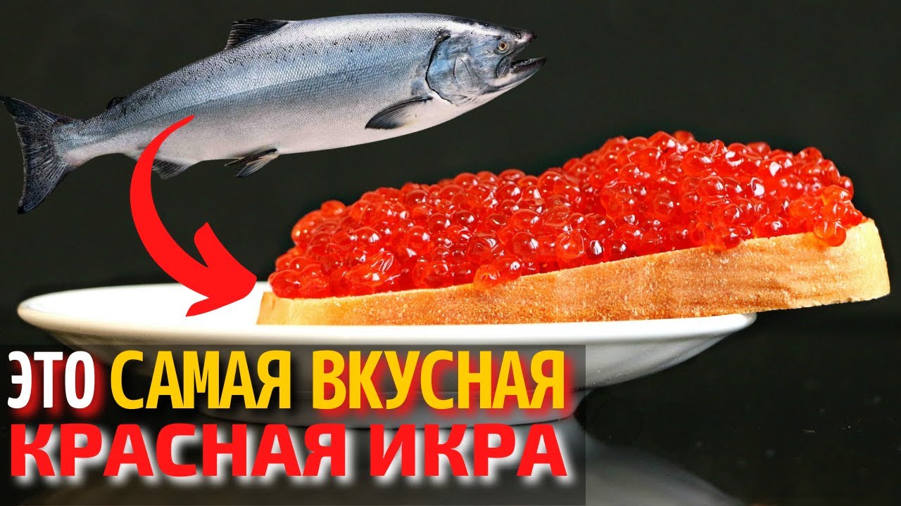 Самая Вкусная Икра Фото