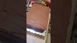Calvin's birthday cake dinosaur volcano