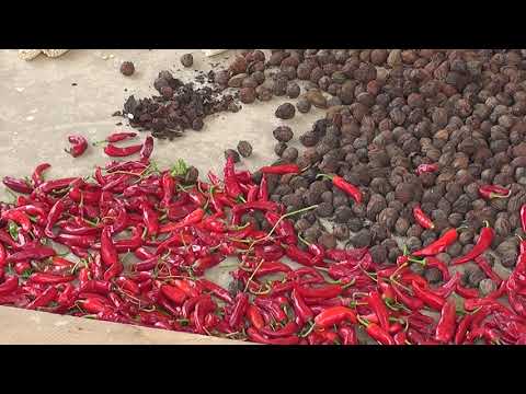 ფოთელი იუზა ეხვაია თანაქალაქელებს : \"თუ მიწა გაქვთ- დაამუშავეთ\" 17 11 20