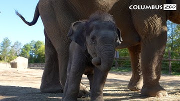 Together, We Make a Difference: Our Global Impact