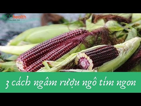 Video 3 Cách ngâm rượu ngô tím ngon, chuẩn vị Tây Bắc - youtube