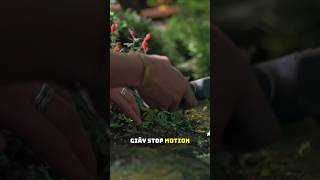 Vì sao phim stop-motion rất đẹp nhưng cực kỳ rủi ro về tiền bạc