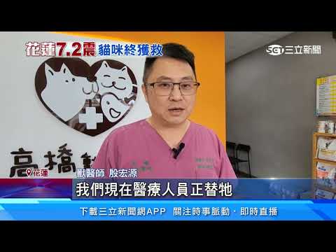 救愛貓折返罹難 康老師愛貓受困11天獲救│94看新聞