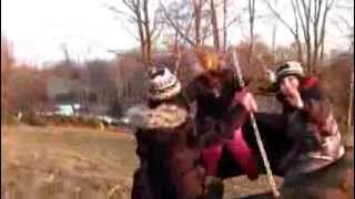 Tire Swing