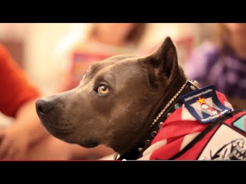 Video: Fostul abuzat Pit Bull, renumit pentru capul ei, câștigă premiul Hero Dog