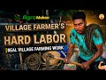 Real Village Farming Work 😱 | Farmer’s Hard Labor in Rural Life 🌾 Agro Makan ll