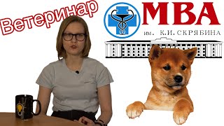 студентка о МВА имени К. И. Скрябина | ветеринарное образование