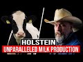 🔴 7 Advantages Of The HOLSTEIN Cattle Breed 🥛Biggest Bulls And Cows