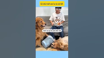 Tưởng lu dễ dãi ai ngờ # vui cùng cún cưng