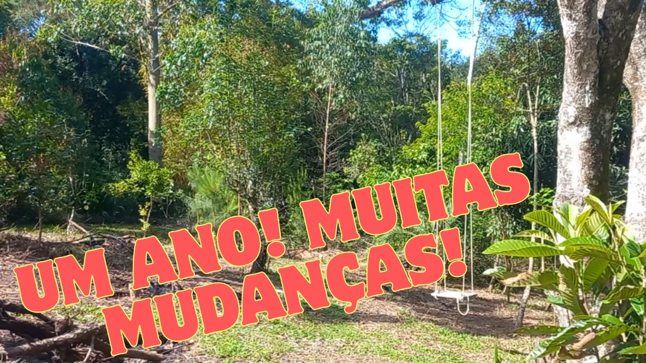 Finalizando o ano, mostrando um poudo de tudo que fizemos aqui na chácara em um ano!