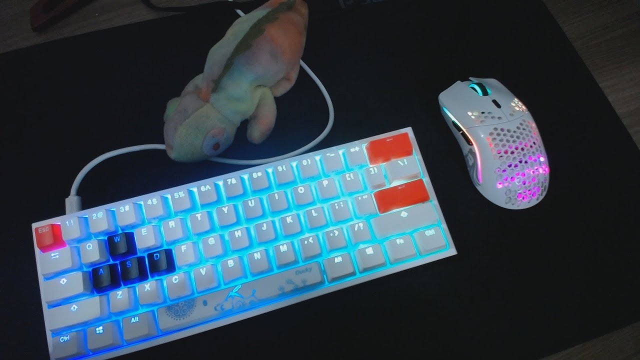 Ducky One 2 Mini Cherry Mx Rgb Brown Fortnite Gameplay Handcam And Setting Atlasggs Wtdrc Youtube