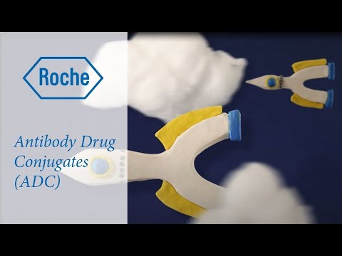 What are antibody-drug conjugates and how do they work against cancer? (Russian version)