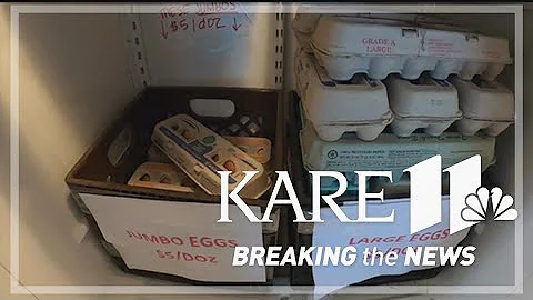 The rising cost of eggs